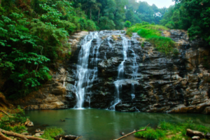 The distance between Bangalore to Coorg is 245 Kilometers (5 Hours and 30 minutes). The roads are smooth and well-maintained overall. Coorg and its surrounding spots are attractive, travelling to Coorg is also a great experience of the trip. 