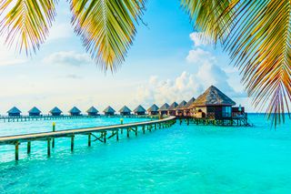 Maldives_expectation 14