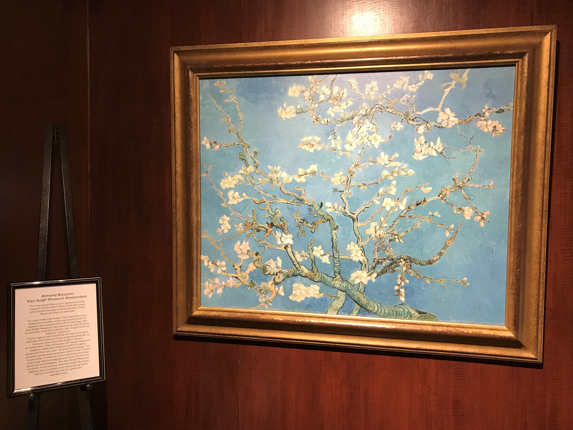 Van Gogh Museum Editions Pop-up Tour Credit: Hilton Hotels & Resorts