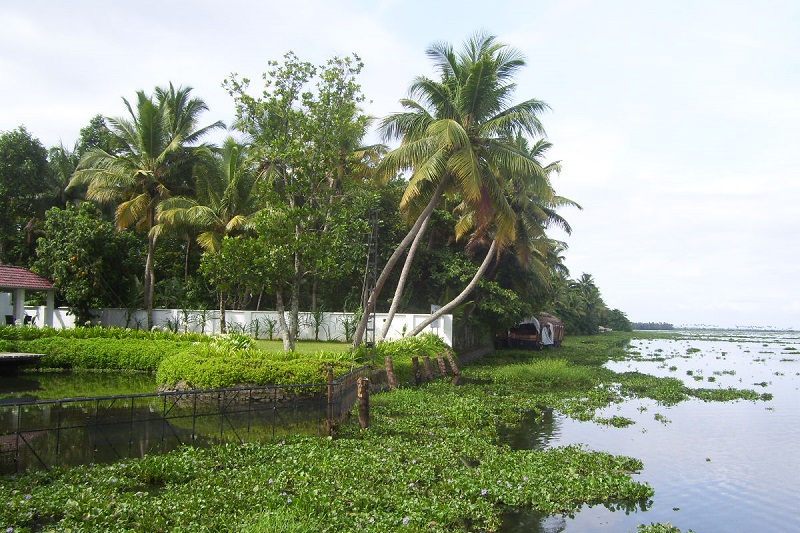 Kumarakom Kerala Views